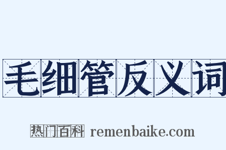 毛细管反义词是什么意思的图片